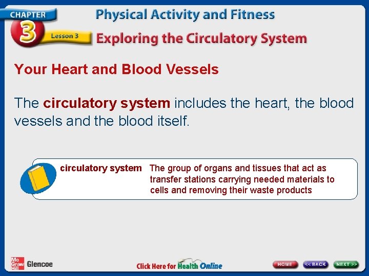 Your Heart and Blood Vessels The circulatory system includes the heart, the blood vessels