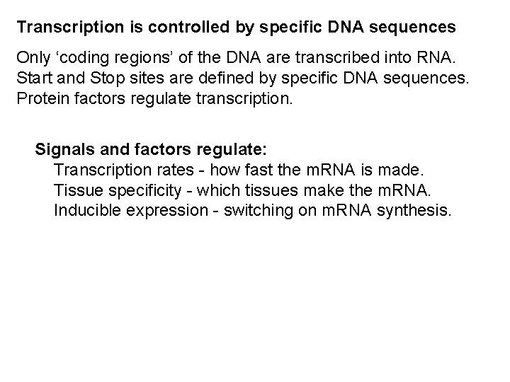 Transcription is controlled by specific DNA sequences Only ‘coding regions’ of the DNA are