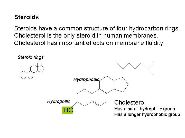 Steroids have a common structure of four hydrocarbon rings. Cholesterol is the only steroid