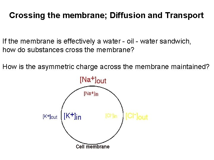 Crossing the membrane; Diffusion and Transport If the membrane is effectively a water -