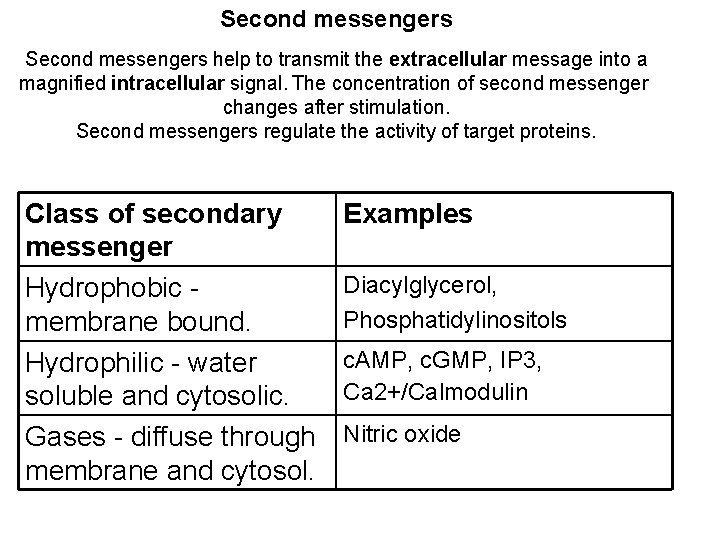 Second messengers help to transmit the extracellular message into a magnified intracellular signal. The