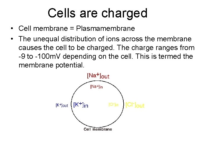 Cells are charged • Cell membrane = Plasmamembrane • The unequal distribution of ions