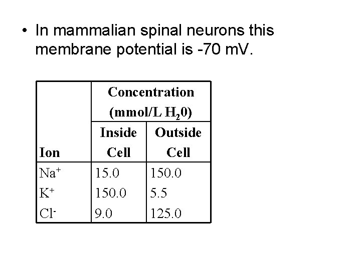  • In mammalian spinal neurons this membrane potential is -70 m. V. Ion