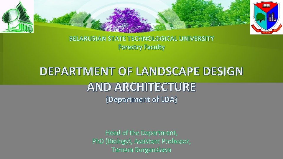 BELARUSIAN STATE TECHNOLOGICAL UNIVERSITY Forestry Faculty DEPARTMENT OF LANDSCAPE DESIGN AND ARCHITECTURE (Department of