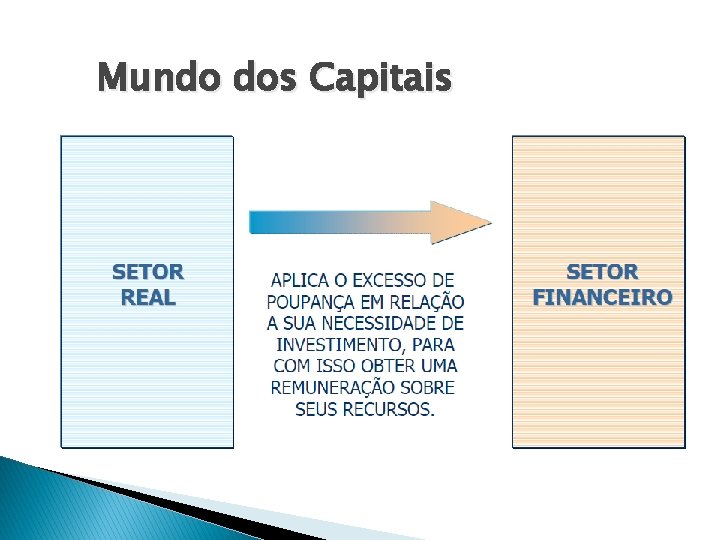 Mundo dos Capitais 