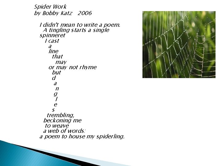 Spider Work by Bobby Katz 2006 I didn't mean to write a poem. A