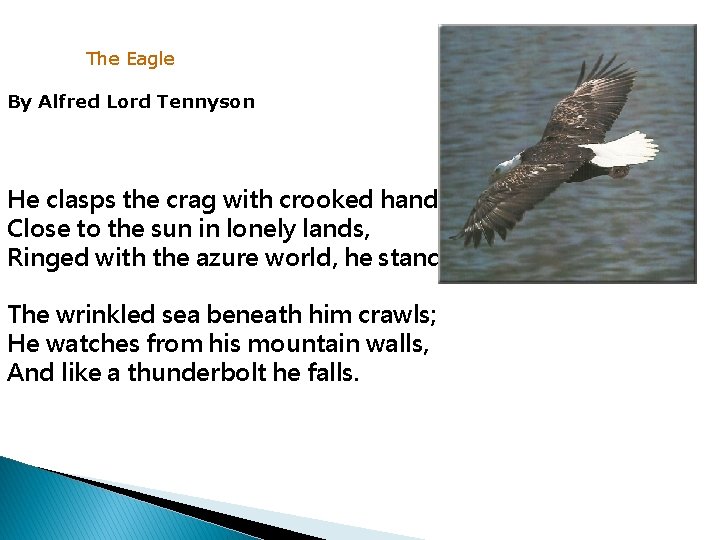 The Eagle By Alfred Lord Tennyson He clasps the crag with crooked hands; Close