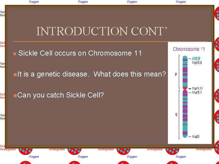 INTRODUCTION CONT’ n Sickle Cell occurs on Chromosome 11 n. It is a genetic