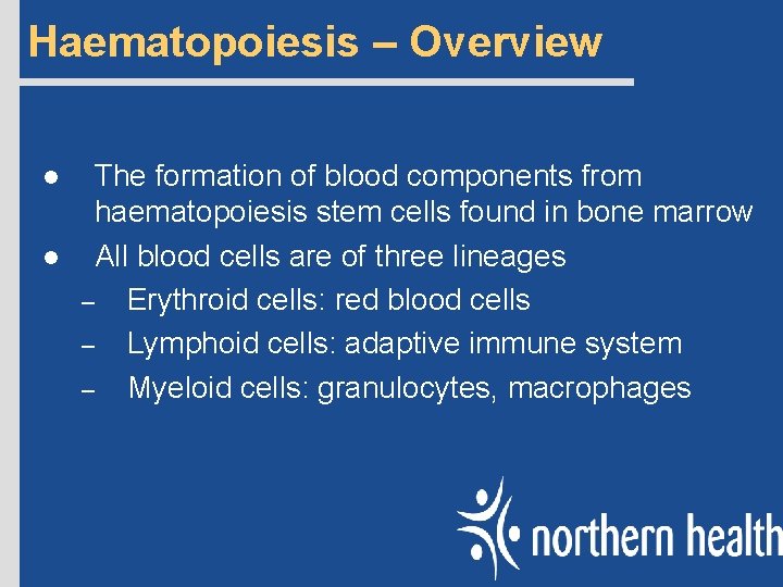 Haematopoiesis – Overview l l The formation of blood components from haematopoiesis stem cells