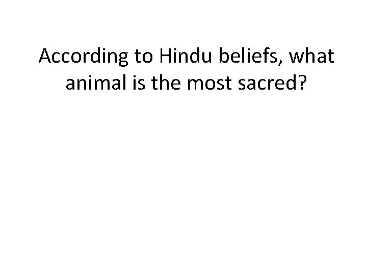 According to Hindu beliefs, what animal is the most sacred? 