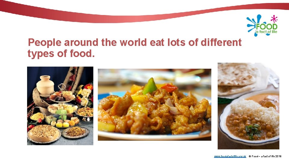 People around the world eat lots of different types of food. www. foodafactoflife. org.