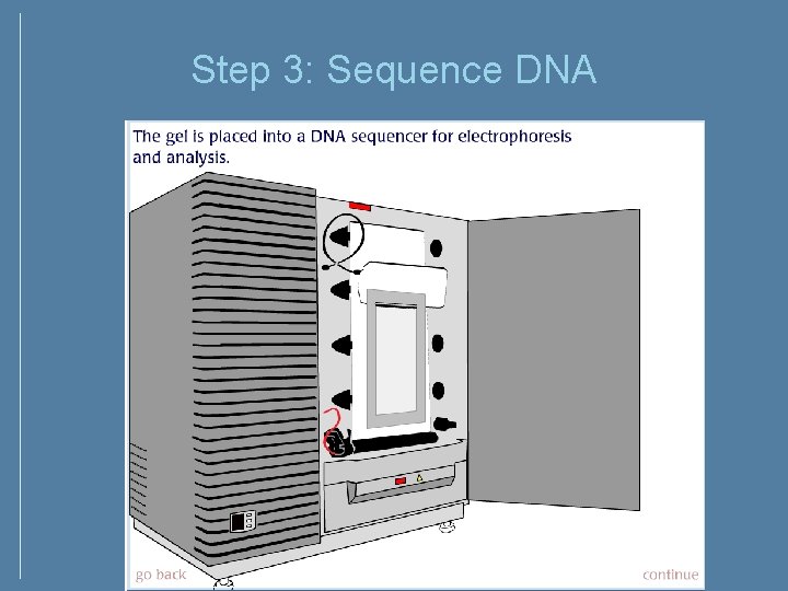 Step 3: Sequence DNA Step 3: Sequence DNA