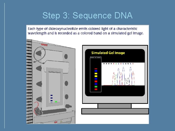 Step 3: Sequence DNA Step 3: Sequence DNA