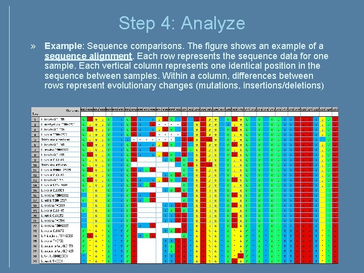 Step 4: Analyze » Example: Sequence comparisons. The figure shows an example of a Step 4: Analyze » Example: Sequence comparisons. The figure shows an example of a