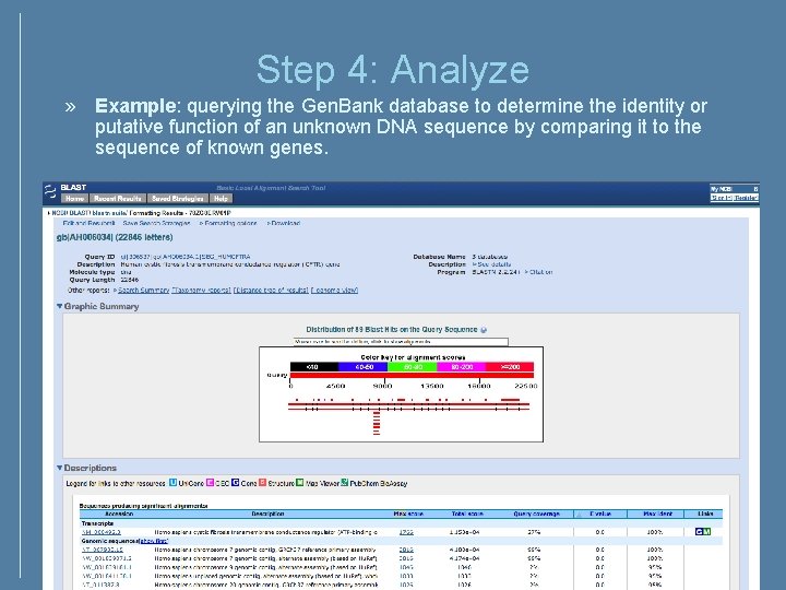 Step 4: Analyze » Example: querying the Gen. Bank database to determine the identity Step 4: Analyze » Example: querying the Gen. Bank database to determine the identity
