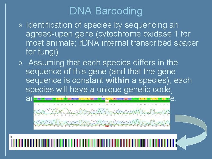 DNA Barcoding » Identification of species by sequencing an agreed-upon gene (cytochrome oxidase 1 DNA Barcoding » Identification of species by sequencing an agreed-upon gene (cytochrome oxidase 1