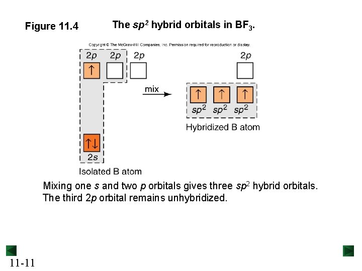 Figure 11. 4 The sp 2 hybrid orbitals in BF 3. Mixing one s