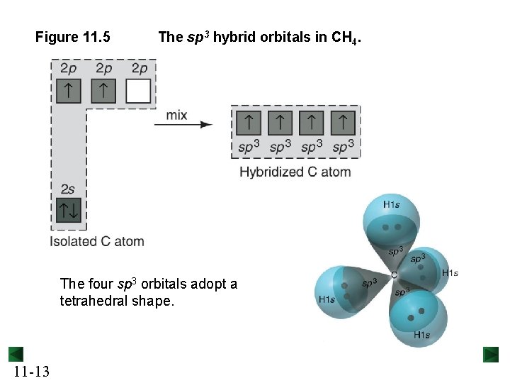 Figure 11. 5 The sp 3 hybrid orbitals in CH 4. The four sp