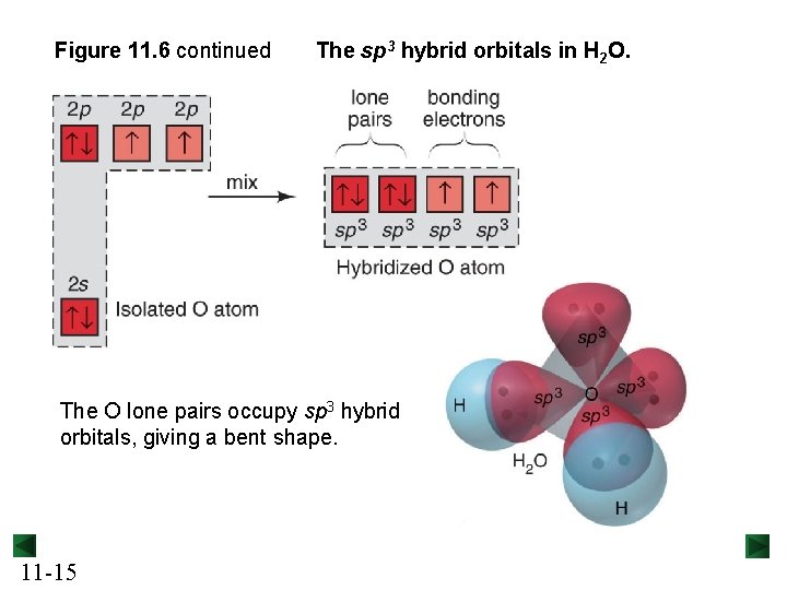 Figure 11. 6 continued The sp 3 hybrid orbitals in H 2 O. The