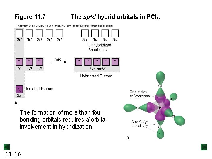 Figure 11. 7 The sp 3 d hybrid orbitals in PCl 5. The formation