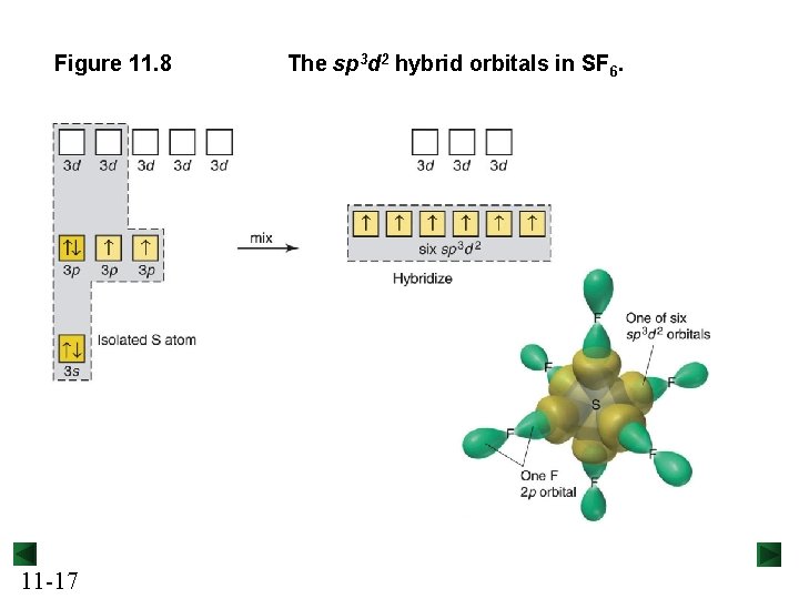 Figure 11. 8 11 -17 The sp 3 d 2 hybrid orbitals in SF