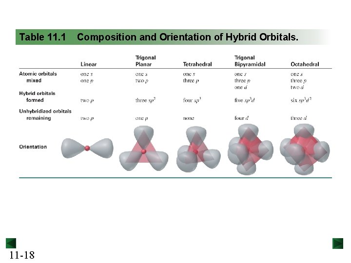 Table 11. 1 11 -18 Composition and Orientation of Hybrid Orbitals. 