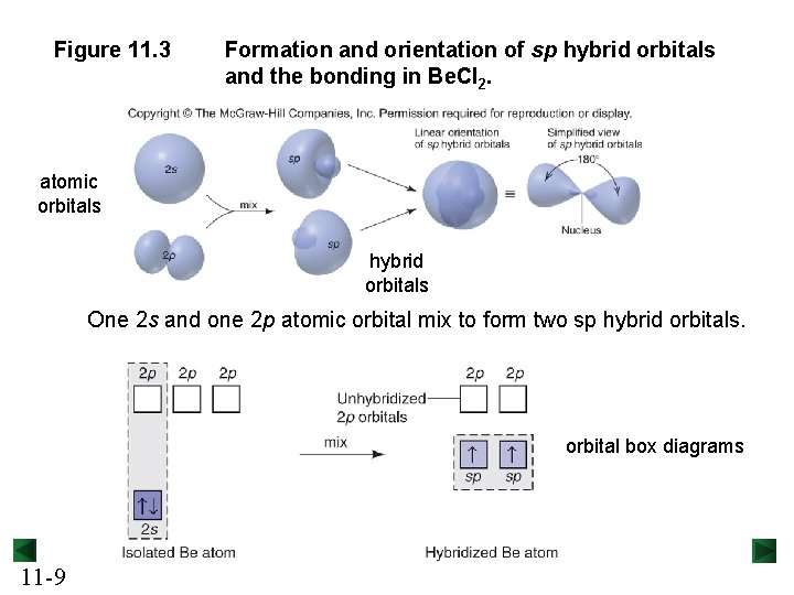 Figure 11. 3 Formation and orientation of sp hybrid orbitals and the bonding in