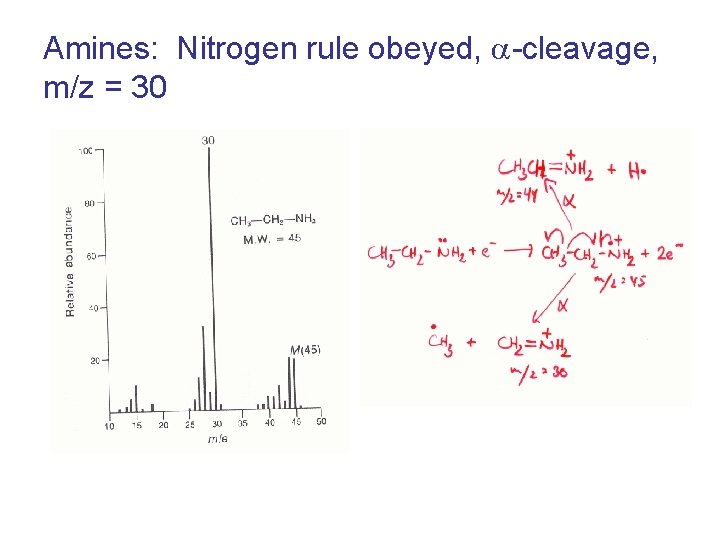 Amines: Nitrogen rule obeyed, a-cleavage, m/z = 30 