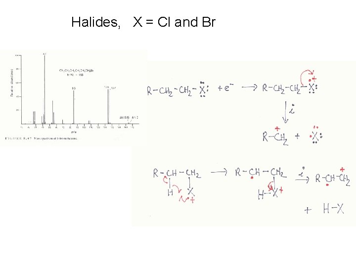 Halides, X = Cl and Br 