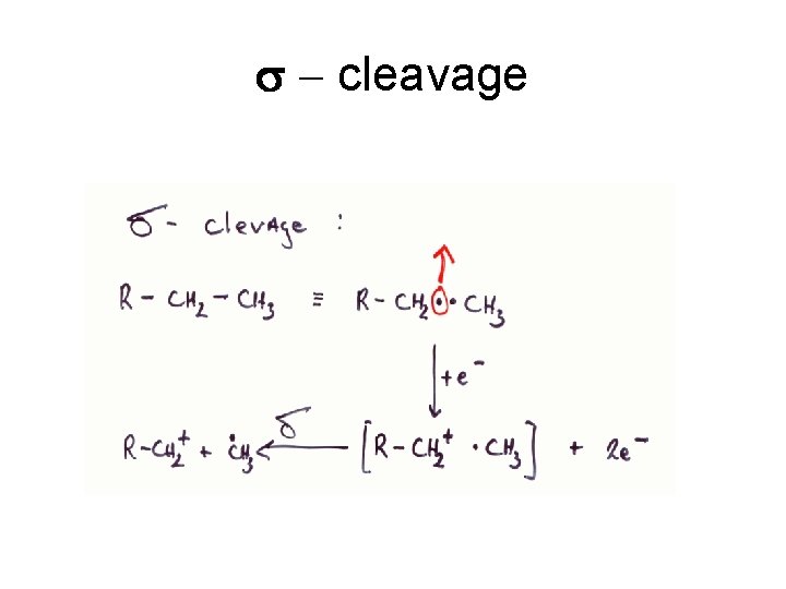 s - cleavage 