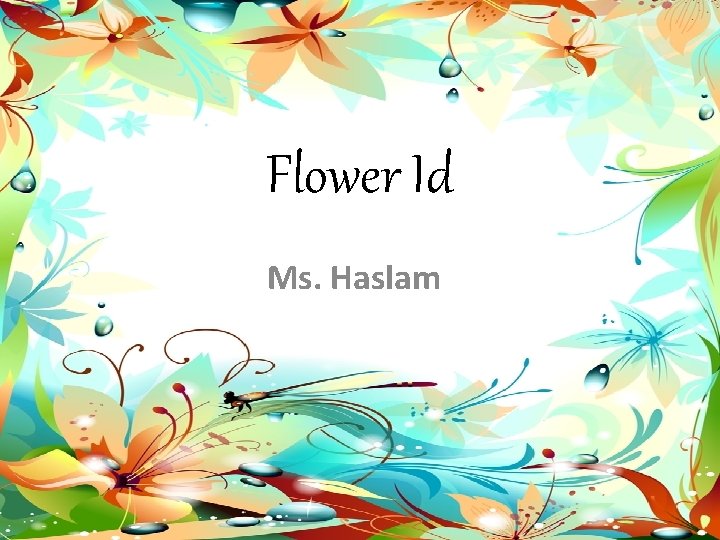 Flower Id Ms. Haslam 