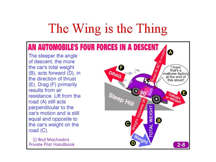 The Wing is the Thing 