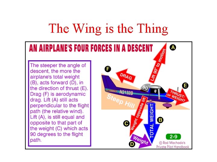 The Wing is the Thing 