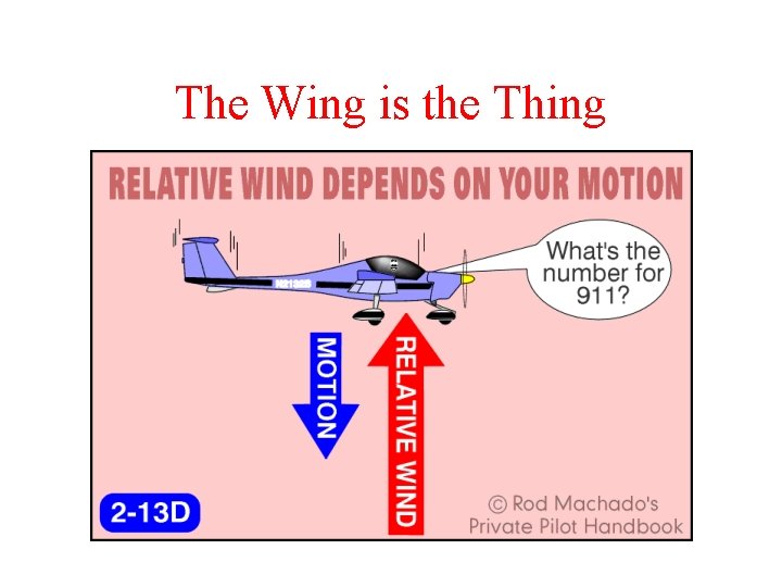 The Wing is the Thing 