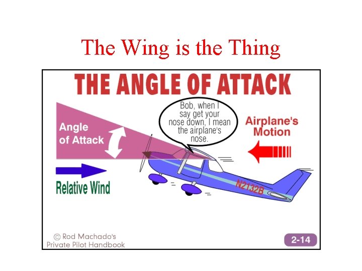 The Wing is the Thing 