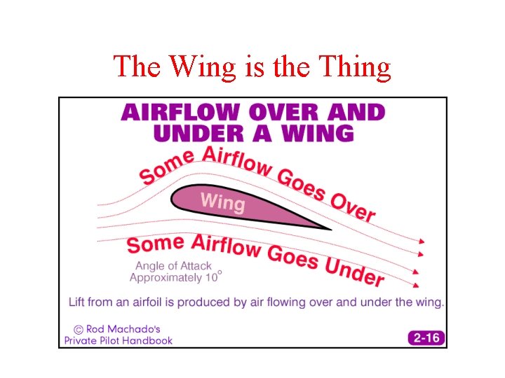 The Wing is the Thing 