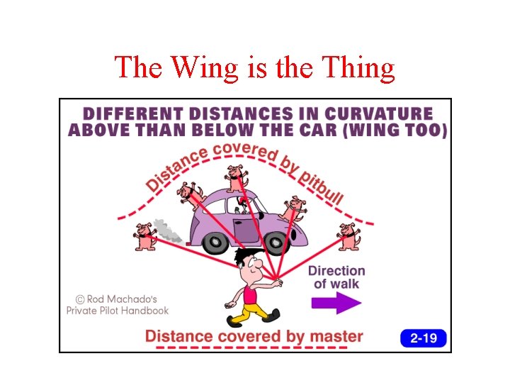 The Wing is the Thing 