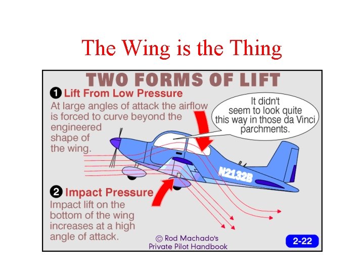 The Wing is the Thing 