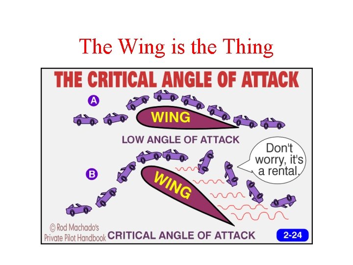 The Wing is the Thing 