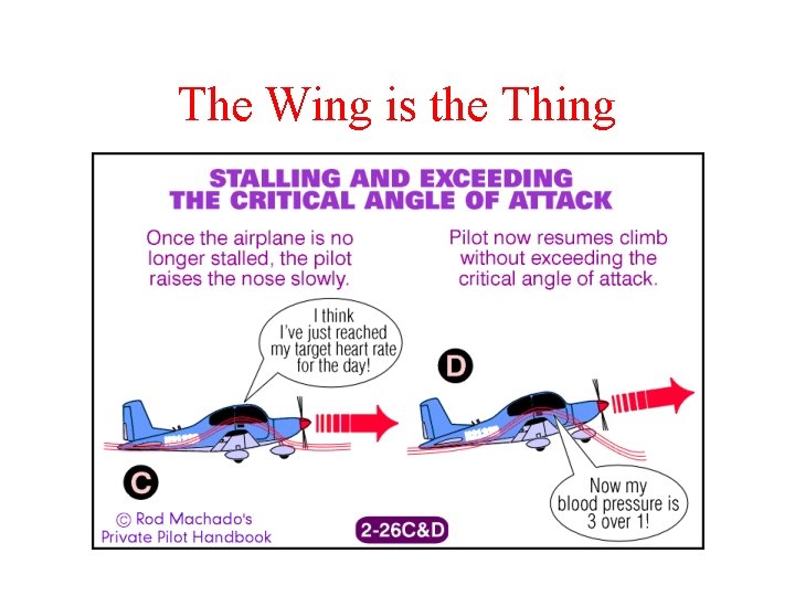 The Wing is the Thing 