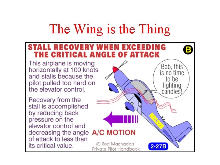 The Wing is the Thing 