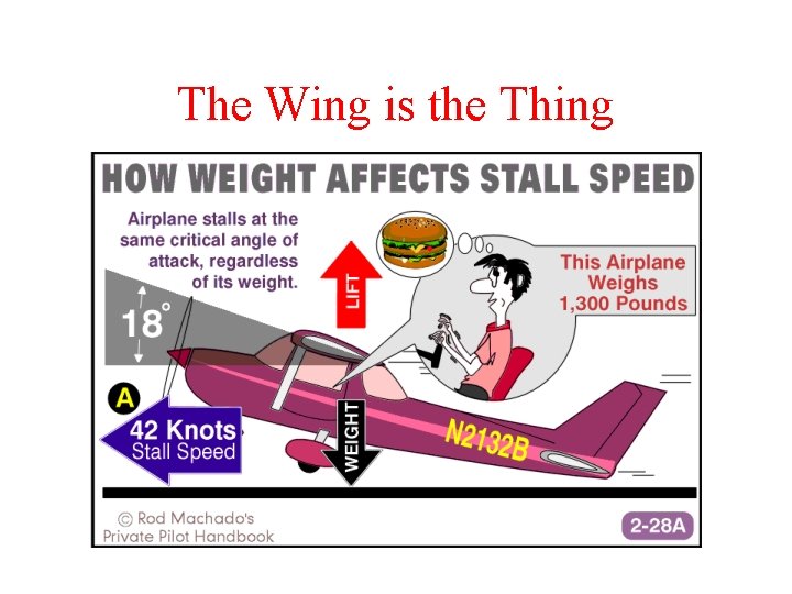 The Wing is the Thing 