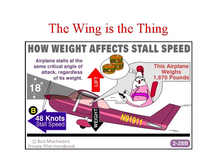 The Wing is the Thing 