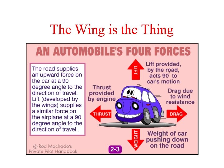 The Wing is the Thing 