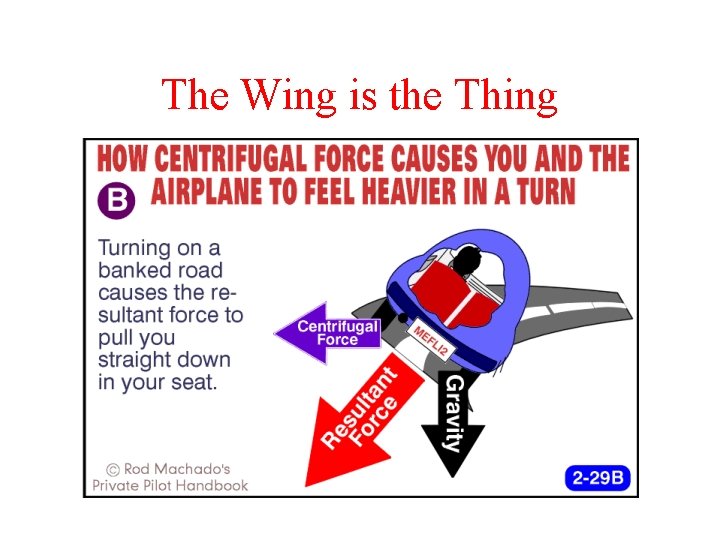 The Wing is the Thing 