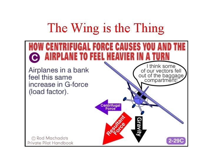 The Wing is the Thing 