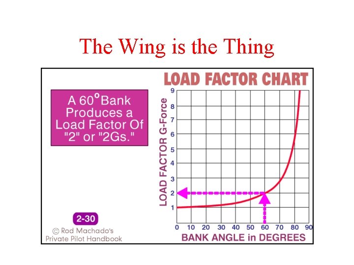 The Wing is the Thing 