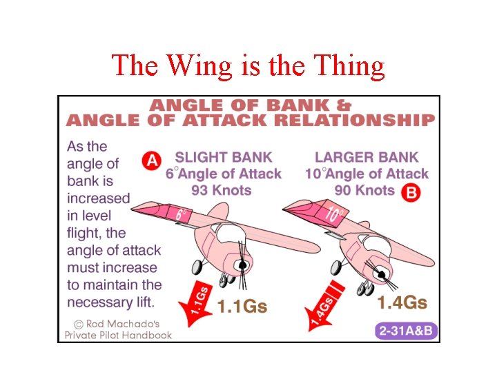 The Wing is the Thing 