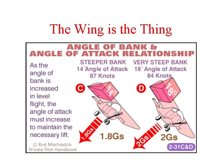 The Wing is the Thing 