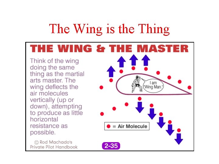 The Wing is the Thing 